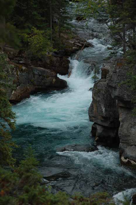Maligne Canyon